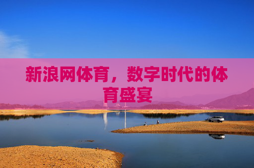 新浪网体育，数字时代的体育盛宴