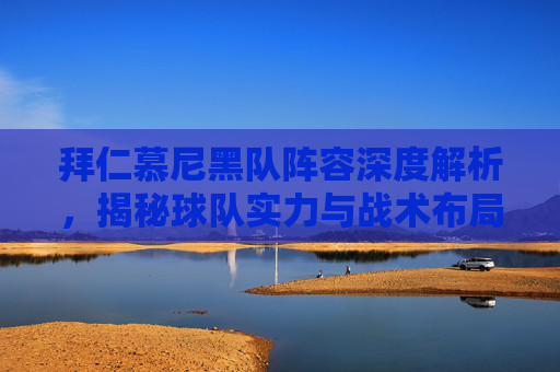 拜仁慕尼黑队阵容深度解析，揭秘球队实力与战术布局