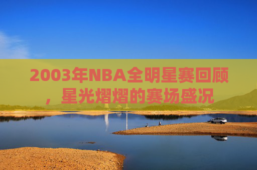 2003年NBA全明星赛回顾，星光熠熠的赛场盛况
