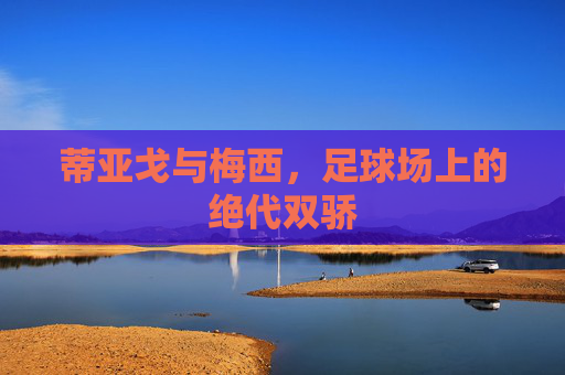 蒂亚戈与梅西，足球场上的绝代双骄