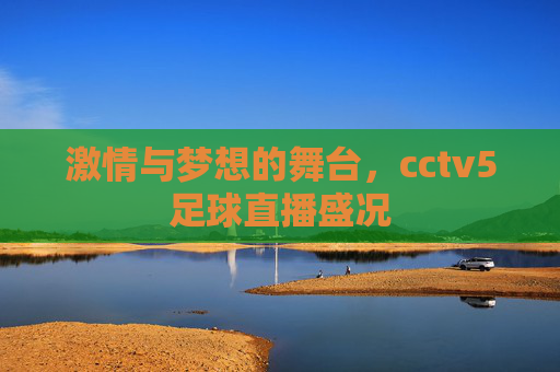 激情与梦想的舞台，cctv5足球直播盛况