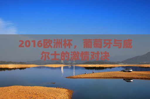 2016欧洲杯，葡萄牙与威尔士的激情对决