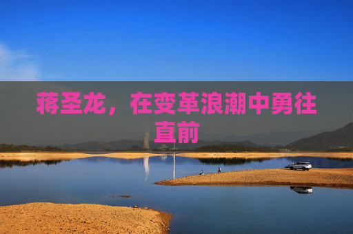 蒋圣龙，在变革浪潮中勇往直前