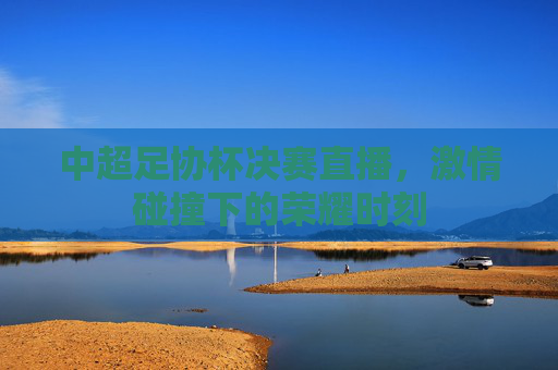 中超足协杯决赛直播，激情碰撞下的荣耀时刻