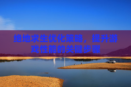 绝地求生优化策略，提升游戏性能的关键步骤