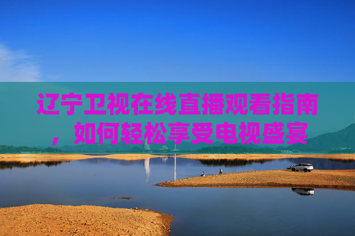 辽宁卫视在线直播观看指南，如何轻松享受电视盛宴