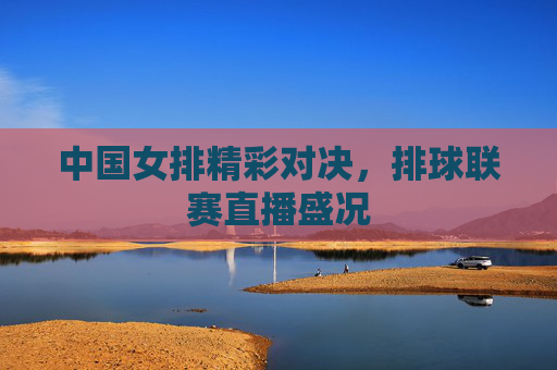 中国女排精彩对决，排球联赛直播盛况