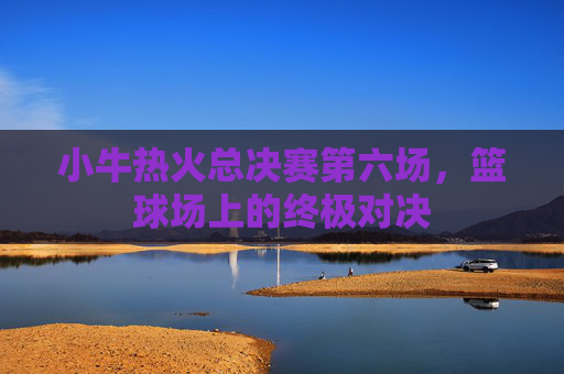 小牛热火总决赛第六场，篮球场上的终极对决