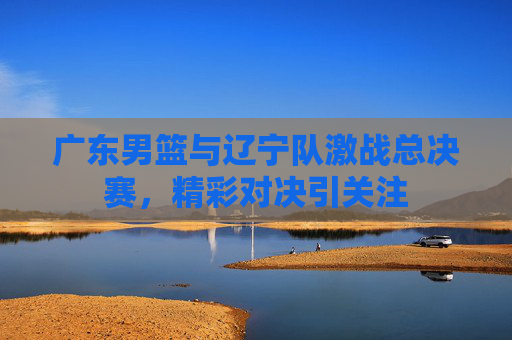 广东男篮与辽宁队激战总决赛，精彩对决引关注