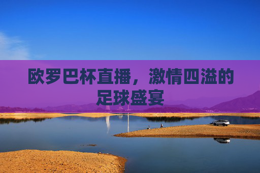 欧罗巴杯直播，激情四溢的足球盛宴