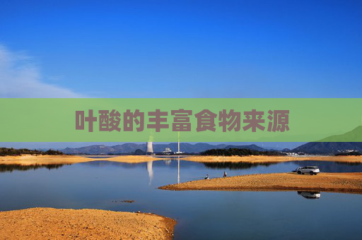 叶酸的丰富食物来源