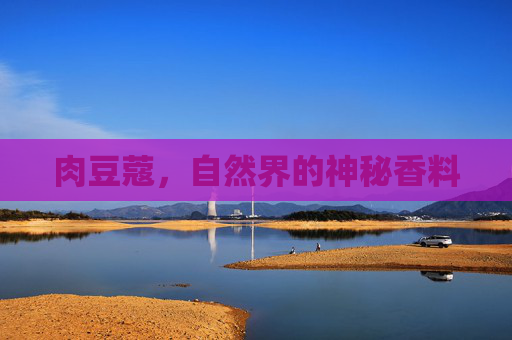 肉豆蔻,自然界的神秘香料 肉豆蔻,自然界的神秘香料