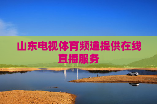 山东电视体育频道提供在线直播服务