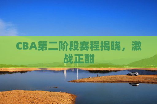 CBA第二阶段赛程揭晓，激战正酣