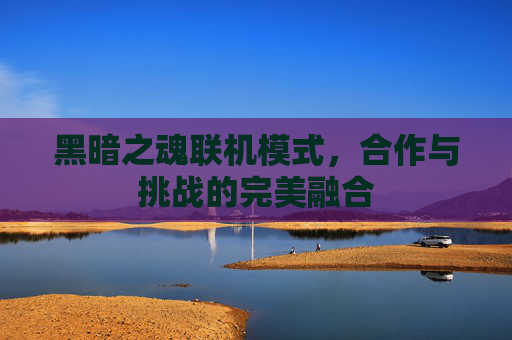 黑暗之魂联机模式，合作与挑战的完美融合