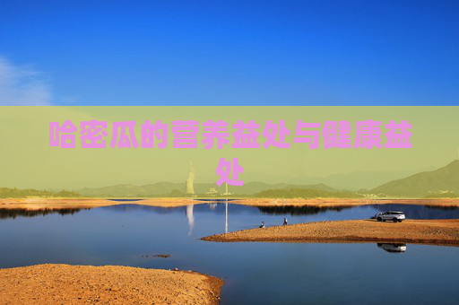 哈密瓜的营养益处与健康益处 哈密瓜的营养益处与健康益处