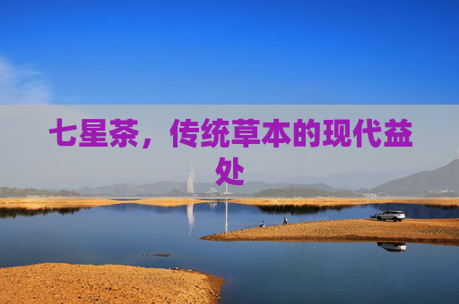 七星茶,传统草本的现代益处 七星茶,传统草本的现代益处