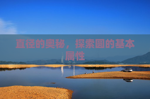 直径的奥秘,探索圆的基本属性 直径的奥秘,探索圆的基本属性