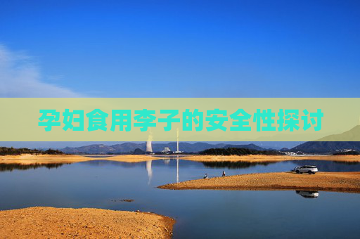 孕妇食用李子的安全性探讨