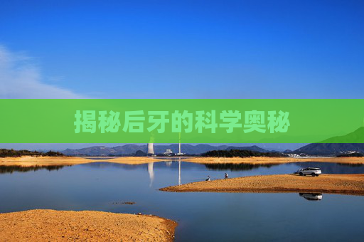揭秘后牙的科学奥秘