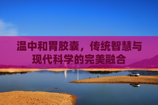 温中和胃胶囊，传统智慧与现代科学的完美融合