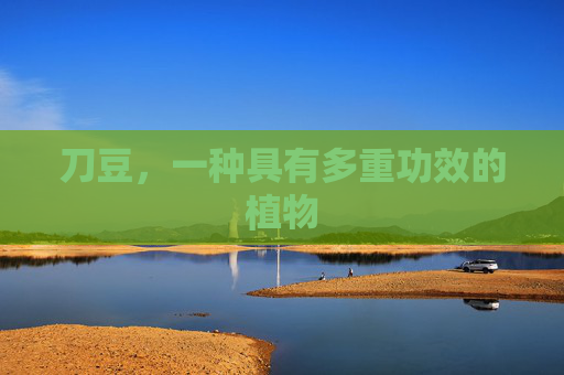 刀豆，一种具有多重功效的植物