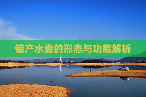 催产水囊的形态与功能解析