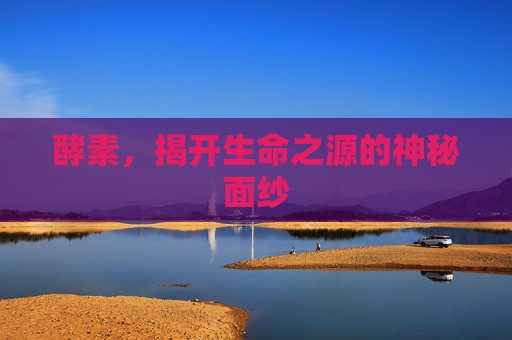 酵素，揭开生命之源的神秘面纱