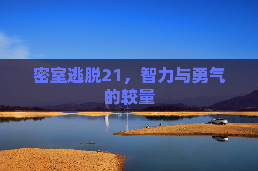 密室逃脱21，智力与勇气的较量