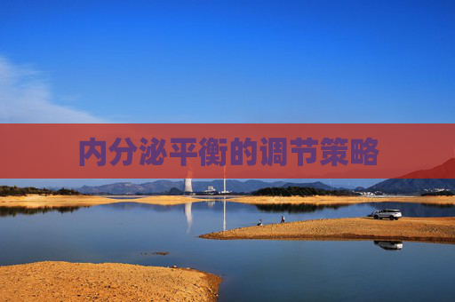 内分泌平衡的调节策略