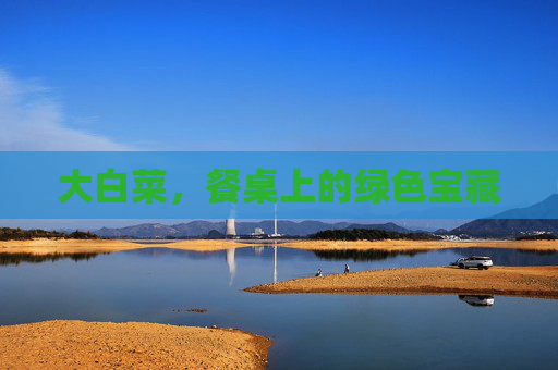 大白菜，餐桌上的绿色宝藏