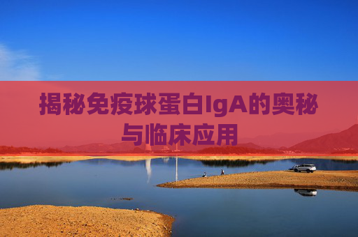 揭秘免疫球蛋白IgA的奥秘与临床应用 揭秘免疫球蛋白IgA的奥秘与临床应用