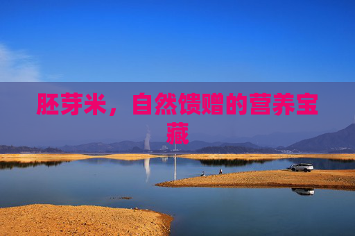 胚芽米，自然馈赠的营养宝藏