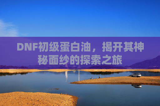DNF初级蛋白油，揭开其神秘面纱的探索之旅