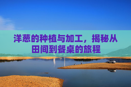 洋葱的种植与加工，揭秘从田间到餐桌的旅程