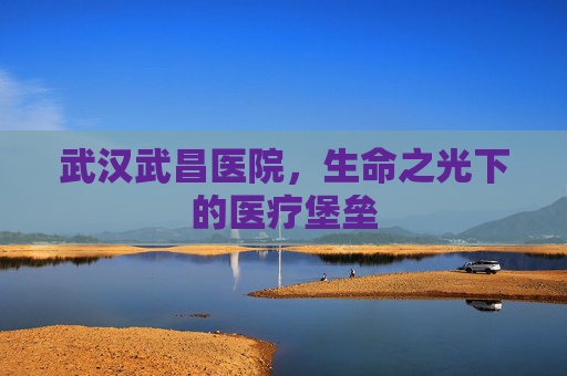 武汉武昌医院,生命之光下的医疗堡垒 武汉武昌医院,生命之光下的医疗堡垒