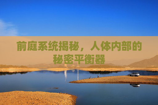 前庭系统揭秘，人体内部的秘密平衡器