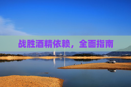 战胜酒精依赖,全面指南 战胜酒精依赖,全面指南