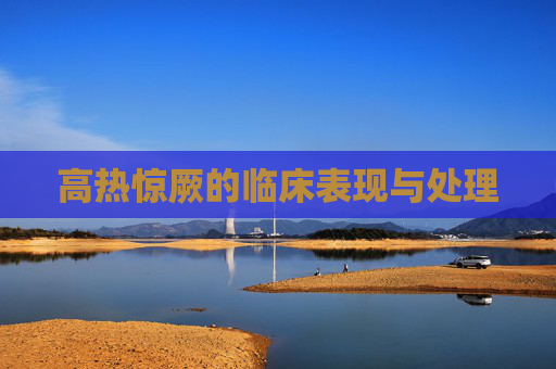 高热惊厥的临床表现与处理
