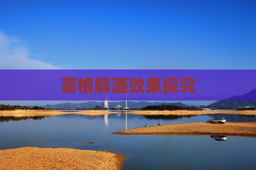 葛根解酒效果探究