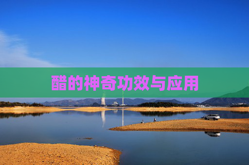 醋的神奇功效与应用