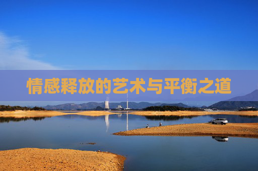 情感释放的艺术与平衡之道