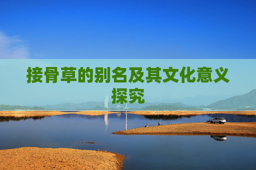 接骨草的别名及其文化意义探究