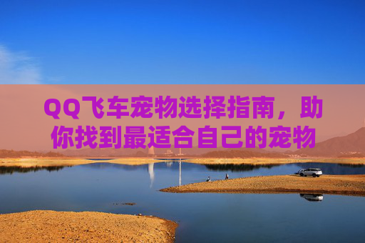 QQ飞车宠物选择指南，助你找到最适合自己的宠物