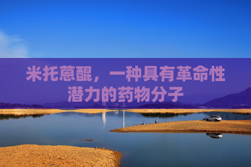 米托蒽醌，一种具有革命性潜力的药物分子