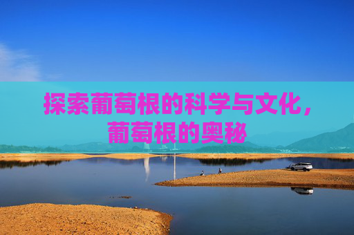 探索葡萄根的科学与文化,葡萄根的奥秘 探索葡萄根的科学与文化,葡萄根的奥秘