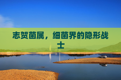 志贺菌属,细菌界的隐形战士 志贺菌属,细菌界的隐形战士