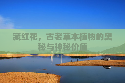 藏红花，古老草本植物的奥秘与神秘价值
