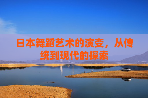 日本舞蹈艺术的演变，从传统到现代的探索