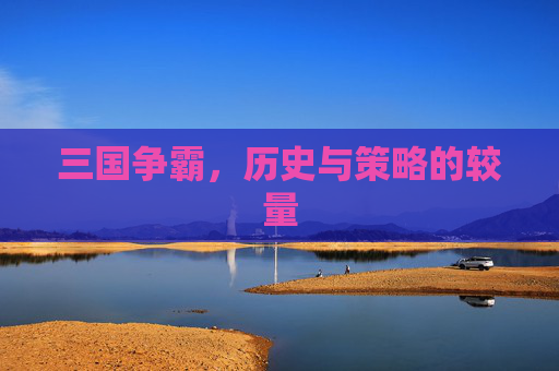 三国争霸，历史与策略的较量